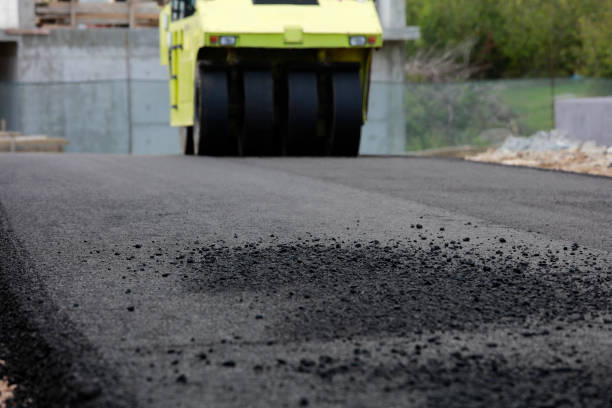 Best Local Driveway Pavers  in Nellysford, VA